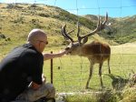 Me feeding reindeer