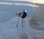 DSCN4294 - Version 2