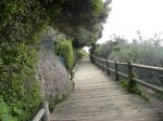 Boulders Beach walkway