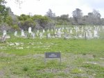 Leper graveyard